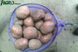1agro.com.ua