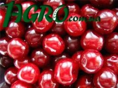 1agro.com.ua