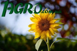 1agro.com.ua