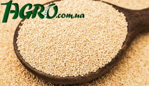 1agro.com.ua