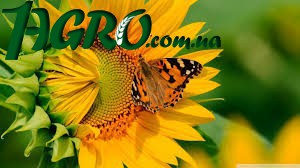 1agro.com.ua