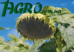 1agro.com.ua