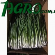 1agro.com.ua