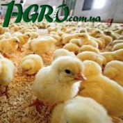 1agro.com.ua