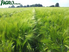 1agro.com.ua