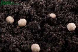 1agro.com.ua