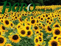 1agro.com.ua