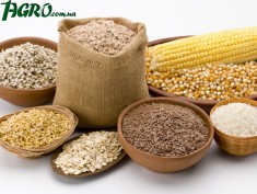 1agro.com.ua