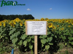 1agro.com.ua