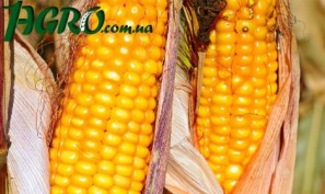 1agro.com.ua