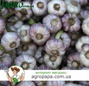 1agro.com.ua