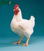 1agro.com.ua