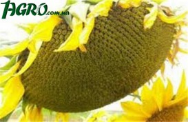 1agro.com.ua