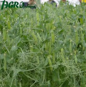 1agro.com.ua