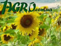 1agro.com.ua