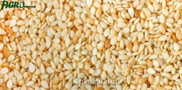 1agro.com.ua