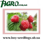 1agro.com.ua