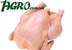 1agro.com.ua