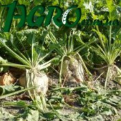 1agro.com.ua