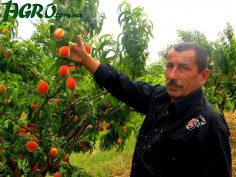 1agro.com.ua