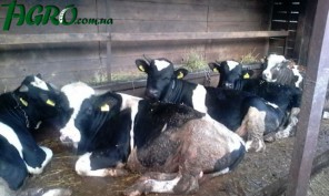 1agro.com.ua
