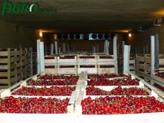 1agro.com.ua