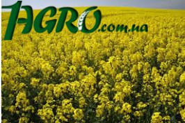 1agro.com.ua