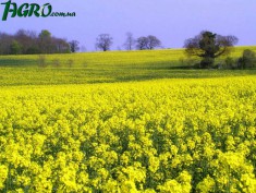 1agro.com.ua