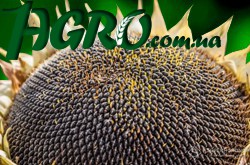 1agro.com.ua
