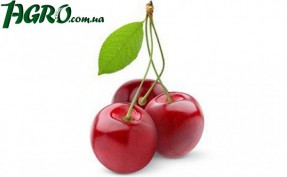 1agro.com.ua