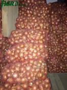 1agro.com.ua