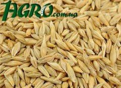 1agro.com.ua