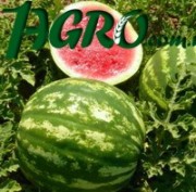 1agro.com.ua