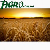 1agro.com.ua