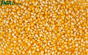 1agro.com.ua