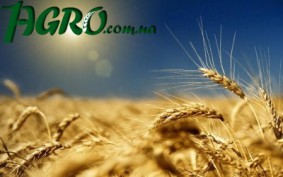 1agro.com.ua