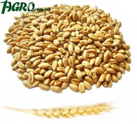 1agro.com.ua