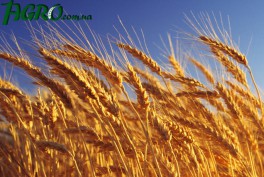 1agro.com.ua