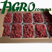 1agro.com.ua