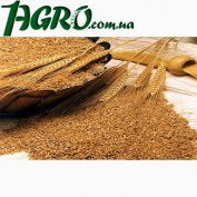 1agro.com.ua