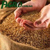 1agro.com.ua