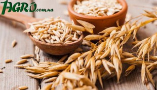 1agro.com.ua