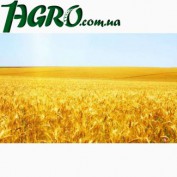 1agro.com.ua