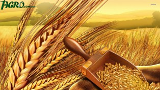 1agro.com.ua