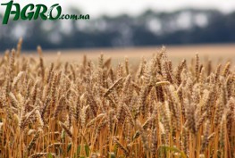 1agro.com.ua
