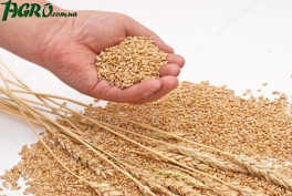 1agro.com.ua