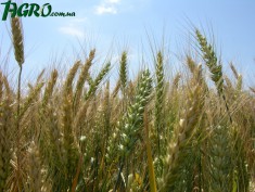 1agro.com.ua