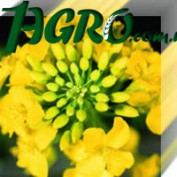 1agro.com.ua