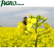 1agro.com.ua