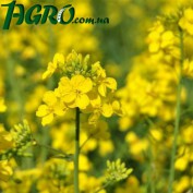 1agro.com.ua
